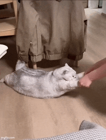 wfyokyga - Ludź zabierz mnie do kuchni bom głodny