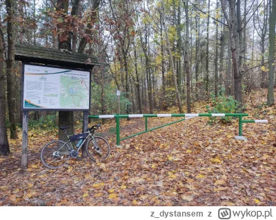 z_dystansem - 635 444 + 4 + 67 + 14 + 51 = 635 580

Jak Święto Niepodległości to trad...