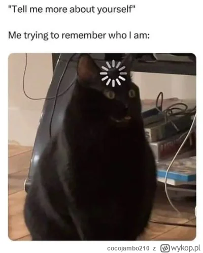 cocojambo210 - Za każdym pytanym razem xD