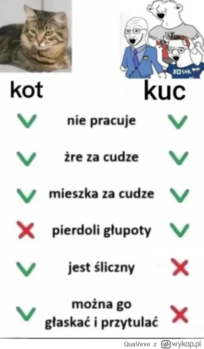 QuaVeve - #heheszki #memy