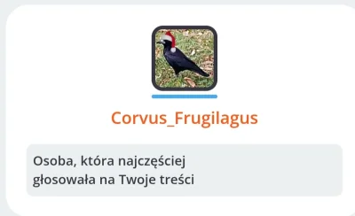 Bobito - #wykop #podsumowanieroku2024

@Corvus_Frugilagus