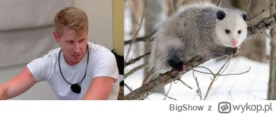 BigShow - @Null84: HP bawi i uczy, a więc oto opos - nawet nie musiałem zerkać w swoj...