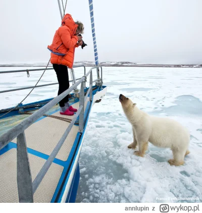 annlupin - @wfyokyga: sie nie ruszaj zdjęcie robie