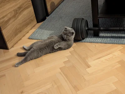 Rosh - @PieknyWojciech: