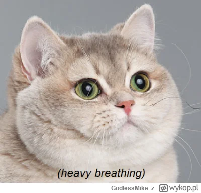 GodlessMike - @paula_pila: (⌒(oo)⌒)