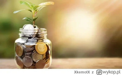 XkemotX - #oszczedzanie #oszczednosci #finanse #budzetdomowy

Zaczynam coś oszczędzać...