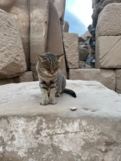 dzejdzejonca - @Atreyu: