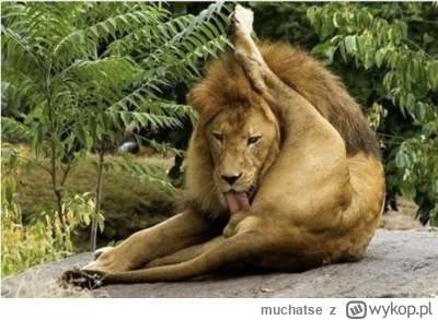m.....e - @Kroledyp: taki twój obraz, panie mądry xD. Typowy argument, którego można ...