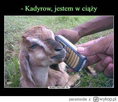 paramedix - >Kadyrowcom wszystko jedno, koza czy rusek.

@Jurand-ze-Spychowa: żeby ty...