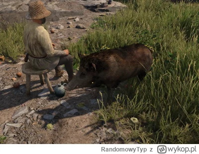 RandomowyTyp - Jedno mam pytanie, czy swinie w KCD2 nie sa przypadkiem podmienione z ...