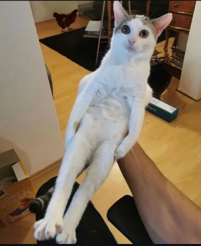 dywergent - im wiecej mysle tym jest tylko gorzej