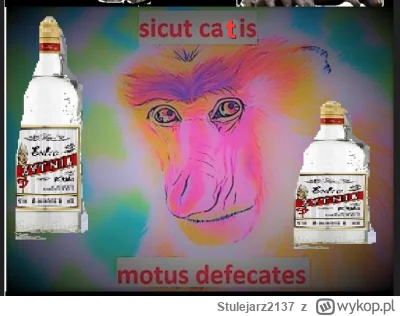 Stulejarz2137 - Rozstałem się z żulem szczurów prawie 6 lat temu, mieliśmy dwa pioter...