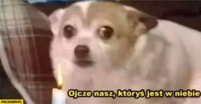 szmichal - #kryptowaluty