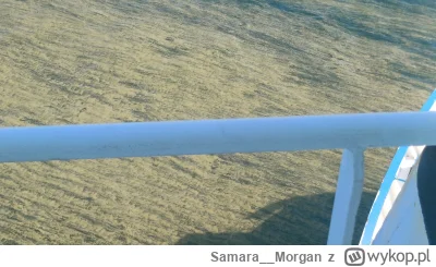 Samara_Morgan - @DonArtur:  niezły syf