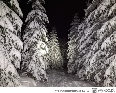 wspomnienieciszy - @telegazeciarz: Z telefonu i z ręki, te zdjęcia są mocno nieprzemy...