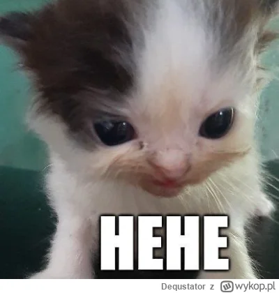 Dequstator - @Infex: