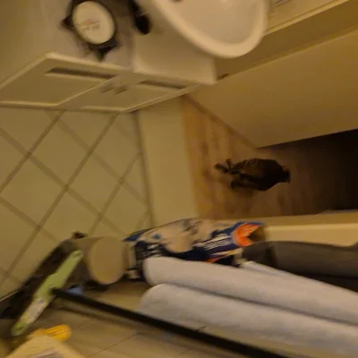 Lujdziarski - @Lujdziarski Został pogoniony