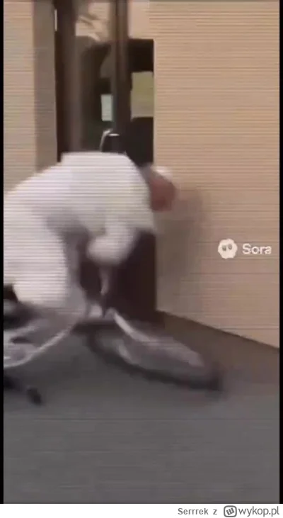 Serrrek - #wykopobrazapapieza #2137