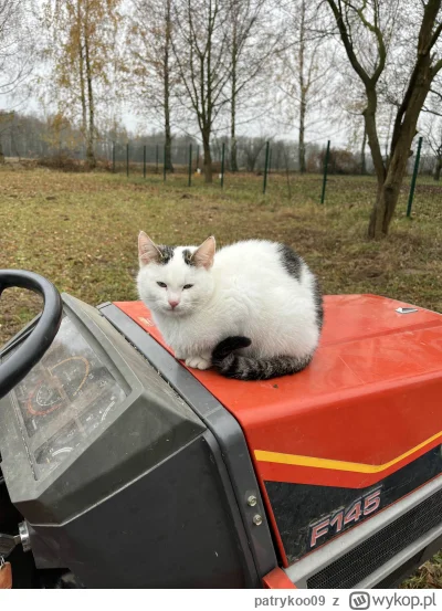 patrykoo09 - @patrykoo09: