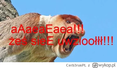 Cerb3rusPL - @zloty_wkret: