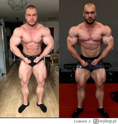 Lewusx - Naturalnie że nienaturalnie.

2 lata, ponad 10kg czystego mięsa nałożone. 

...