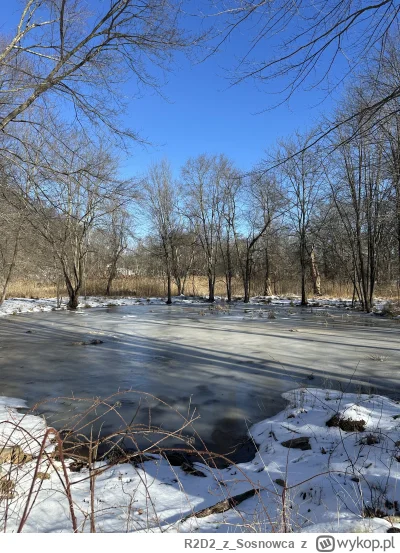 R2D2zSosnowca - #bagienko lutowe #r2d2zwiedza #natura -2C