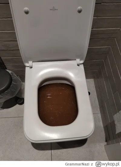 GrammarNazi - Ech te hotele dla p-------k. Chłop zrobił raz po ciężkiemu i tak to się...