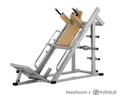 SlepyBazant - >ale po co robić przysiad czy wyciskanie na maszynie jak można normalni...