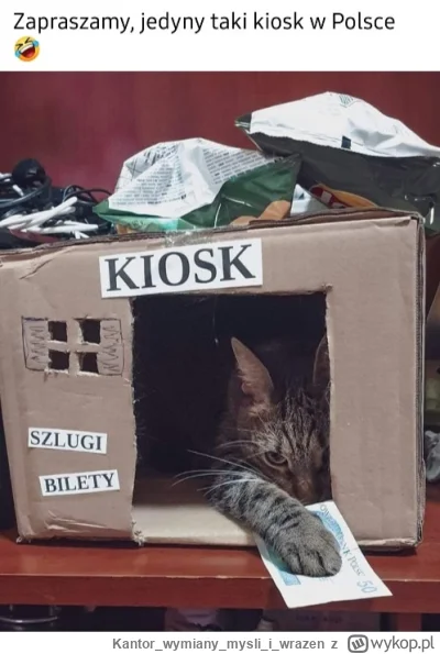 Kantorwymianymysliiwrazen - @wybryk_natury: kioskarka żaluzje podniosła  można kupowa...