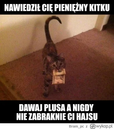 Bram_pc - Pieniężny kitku pozdrawia