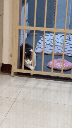 jestemtakizmeczony - @jestemtakizmeczony: