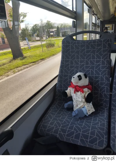 Pokojowa - @youngP 
 kurde, rozczulają mnie te wpisy z pandkom. ten mniej, ale jak po...