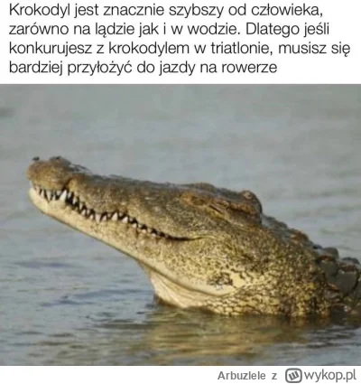 Arbuzlele - #heheszki #humorobrazkowy