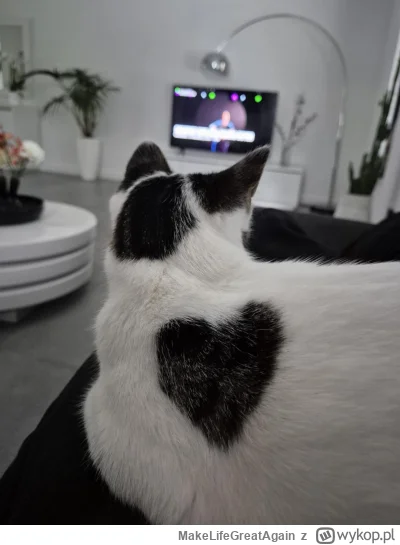 MakeLifeGreatAgain - #pokazkota #kot #kitku #koty
Serduszko od kitku dla was

SPOILER