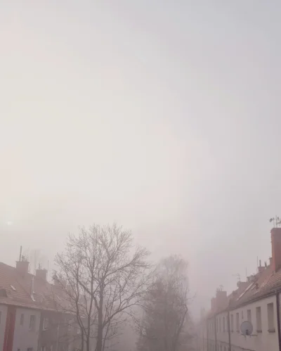 monky - Powietrze stoi. Praktycznie zero wiatru w dalszym ciągu. Od rana mamy lekkie ...