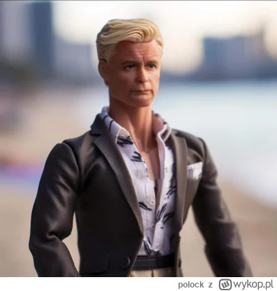 polock - POLSKI Ken
#heheszki