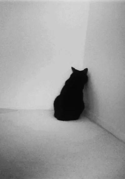 PorzeczkowySok - bardzo zmęczony samym tym, że jestem