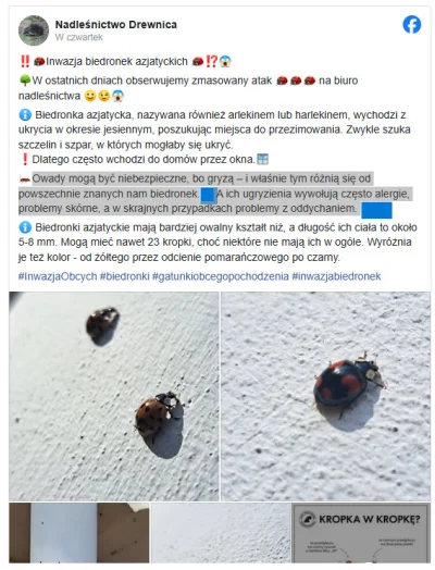 KwasneJablko - @wiseguy43: wez tego nie dotykaj :P kobieto

https://www.onet.pl/turys...