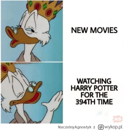 NaczelnyAgnostyk - #harrypotter #wykopthings #wykopekmoment