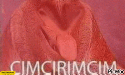 Theo_Y - #konkursnanajbardziejgownianymemznosaczem
#!$%@?ć mi sie chce z pioterami