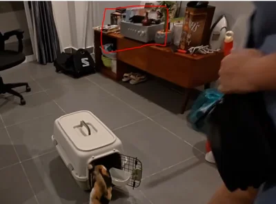 prawdziwyhanskloss - #raportzpanstwasrodka "prawie wszystko się sprzedało" 

Jeżeli t...