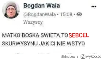 ShineLow - @Zakala_Wadowic