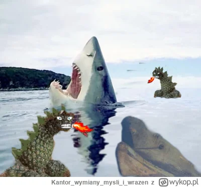 Kantorwymianymysliiwrazen - @wybryk_natury: