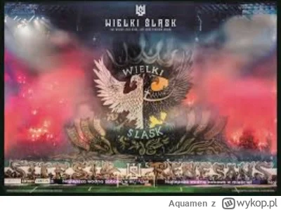 A.....n - A NAD ŚLĄSKIEM TYLKO NIEBO!

#mecz