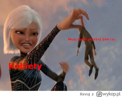 Revuj - #wzrost #blackpill #manlet #przegryw #heheszki