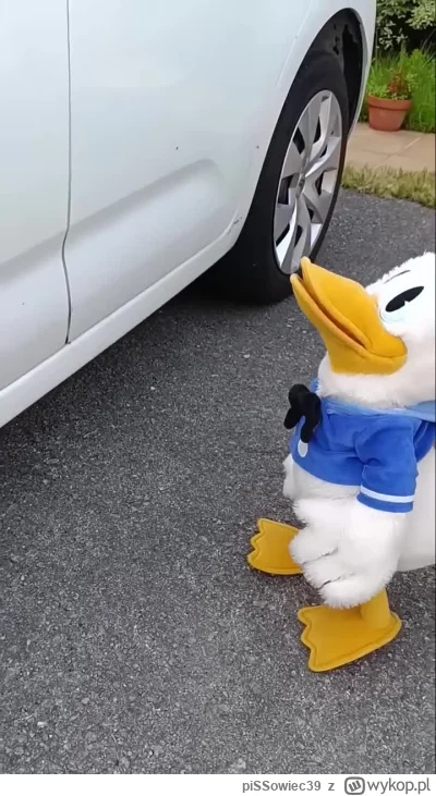 piSSowiec39 - #heheszki #motoryzacja