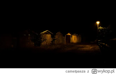 camelpasza - Brak opisu