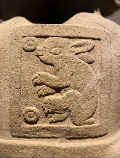 Loskamilos1 - Wykonany na kamiennej powierzchni królik, dzieło cywilizacji Majów odna...
