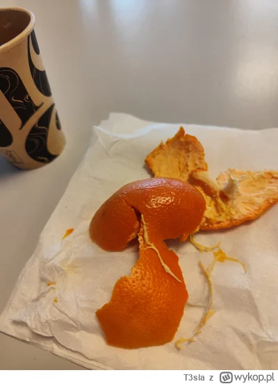 T3sla - #jedzzwykopem  #mandarynki #swieta #bozenarodzenie 
W tym roku oszukałem syst...