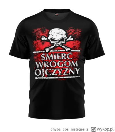 chybacosnieteges - Ci, którzy lubią nosić takie koszulki nie zdają sobie sprawy, że w...